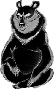 bears baloo